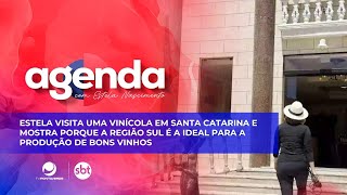 Estela visita uma vinícola em Santa Catarina e mostra porque a região Sul é a ideal para a produção [upl. by Farland124]