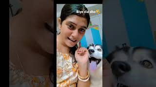 Patro chai biye diye debo🧐🤭 youtubeshorts siberianhuskey subscribe funny [upl. by Anaiviv]