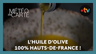 Terroir  de lhuile 100 Hautsde France [upl. by Blunk]