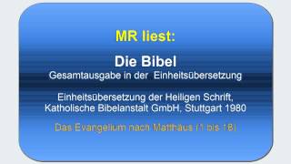 Die Bibel ungekürzt  Deutsche Einheitsübersetzung x Lesung  Matthäus Teil 1 1 bis 18 [upl. by Lila302]