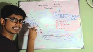 Fundamental niche vs realized niche [upl. by Stock]