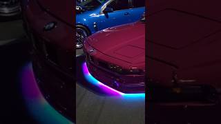 Bmw 840ci with pandem kit and toyota prius both trying to bring back underglow [upl. by Gustave957]