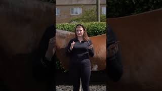 🐴 How Rear Gussets Impact Your Saddles Fit 🐴⁠ [upl. by Corly178]