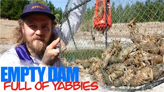 My BIGGEST Haul of Yabbies  EMPTY Dam Full of Yabbies [upl. by Klayman701]