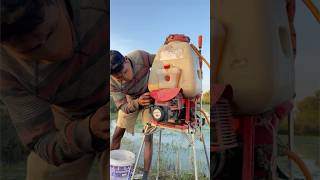 Spray Machine for farmingMen spray rice after flood chanthan farmerfarmerlifefarming [upl. by Oirretno]