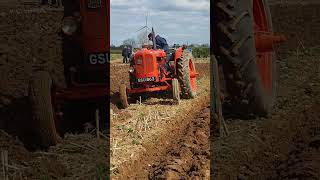 Nuffield Universal DM4 Tractor at Lutterworth Ploughing Practice Day 14th April 2024 [upl. by Lapham]