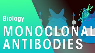 Monoclonal Antibodies  Health  Biology  FuseSchool [upl. by Alben]