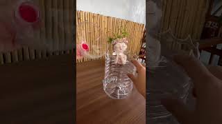 How to grow different types of flowers at home good idea recycle bottle plastic diy flower garden [upl. by Peppi]