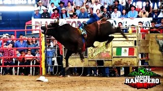 ¡¡¡YA NADIE PUEDE CONTRA LOS DESTRUCTORES 20 TORAZOS EN EL RELICARIO DE MORELIA [upl. by Ansel64]