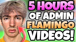 5 HOURS OF FLAMINGO ADMIN VIDEOS TO FALL ASLEEP TO [upl. by Sutniuq]