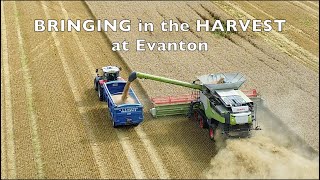 Bringing in the harvest at Evanton [upl. by Anelem634]