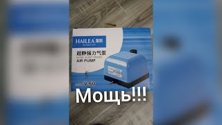 HAILEA V 60 супер компрессор [upl. by Gamal388]