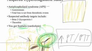 Hypercoagulable state  blood clots [upl. by Keraj37]