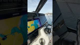 Boston Whaler 325 Conquest  Interior Walk Through [upl. by Hwang]