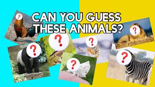 Guess the Hybrid Animal Challenge  Funny Family amp Friends Game [upl. by Yelram]