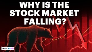 Should You Worry About The Stock Market Crash  Stock Market Down Reason [upl. by Atinit]