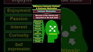 Motivation  Intrinsic Motivation vs Extrinsic Motivation [upl. by Judon]