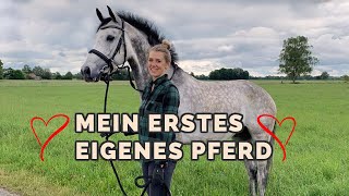 Mein erstes eigenes Pferd ❤ [upl. by Zebedee]