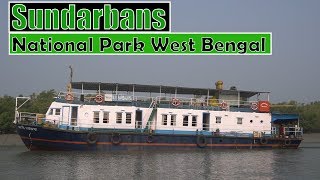 Sundarbans National Park West Bengal  All about journey on ship [upl. by Wiltz]