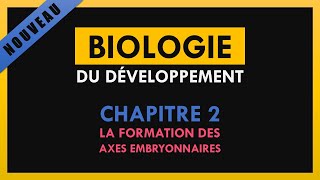 Biologie de développement  Chapitre 2  La formation des axes embryonnaires [upl. by Karlik]