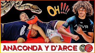 ANACONDA Y DARCE CHOKE  TUTORIAL PARA PRINCIPIANTES  BJJ MMA NOGI  Escuela de grappling [upl. by Ycam548]