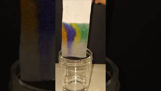 What Happens When You Master Chromatography in Just 1 Day chromatography ytshorts experiment [upl. by Regen]