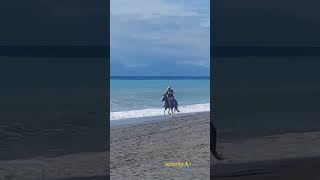 spagetti westernitaly calabria beach horse [upl. by Paddy]