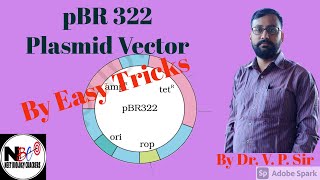 PBR322 plasmid Vector  Easy Trick Dr V P Sir Neetbiologycrackers [upl. by Alisa977]