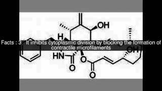 Cytochalasin B Top 7 Facts [upl. by Nav]