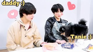 Yeontan love BTS cute Moment tannie  BTS love Yeontan  bts member with yeontan  V love yeontan [upl. by Melliw]