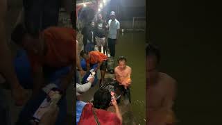 PENAMBAHAN IKAN BABON GALATAMA IKAN MAS CILOA SUMEDANG [upl. by Irtemed]