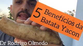 Conheça 5 benefícios da Batata Yacon [upl. by Juliana]