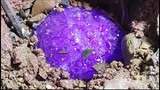 Purple sparkling crystals are growing underground How can I dig them out [upl. by Tyson967]