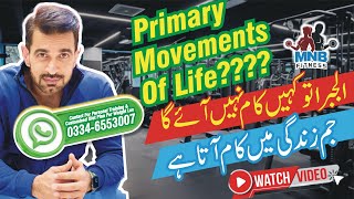 7 Basic Primary Movements of Life  Primary Movement Patterns for Everyday Life  Better Living [upl. by Noled461]