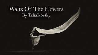 柴可夫斯基花之圓舞曲  Tchaikovsky “Waltz Of The Flowers” [upl. by Summons755]