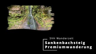 Premiumwanderung Sankenbacksteig in Baiersbronn im Schwarzwalds  Preview [upl. by Chadbourne]