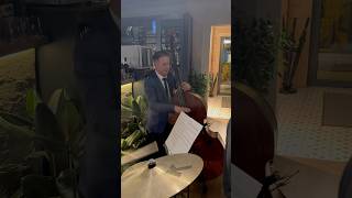 Schick Schock Band  Live  Solo DoubleBass [upl. by Marjana]