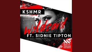 Wildcard feat Sidnie Tipton Extended Mix [upl. by Kcirdehs]