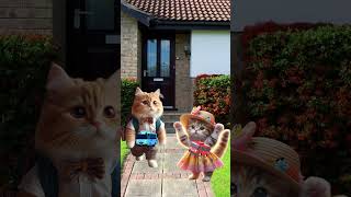 Chicky vs kissy  catvideos cutecat catlover trendingshorts [upl. by Annaeirb]