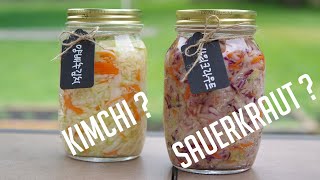 Kimchi vs Sauerkraut 김치와 사워크라우트🌼ASMR cooking [upl. by Brathwaite]