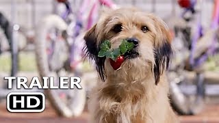 BENJI Official Teaser 2018 Netflix [upl. by Arleyne]