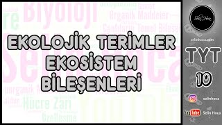 15 Ekolojik Terimler ve Ekosistem Bileşenleri [upl. by Dnomsed]