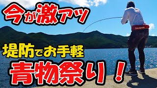 青物釣り初心者でも堤防で手軽に青物が釣れる！夏のスーパーライトショアジギングが超おすすめ！！ [upl. by Dygall]