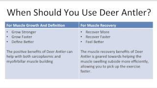 Deer Antler Spray Reviews  Should You Use Deer Antler Spray  Quick Review [upl. by Agnesse]