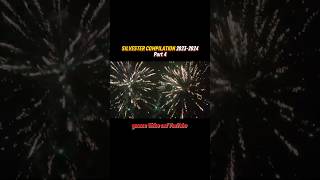 SILVESTER COMPILATION 20232024🧨  Part 4 [upl. by Tomkin299]