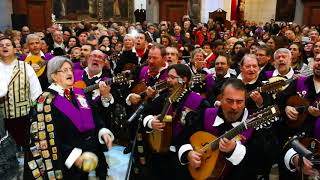 Cuarentuna Cartagena canta a la Virgen de la Caridad Flor Marina y Salve [upl. by Bernette]