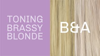 how to tone brassy blonde hair with oVertone [upl. by Llien]