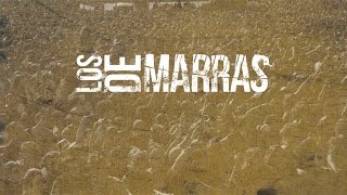 Los De Marras  Ruido Lyric Video [upl. by Eibmab]