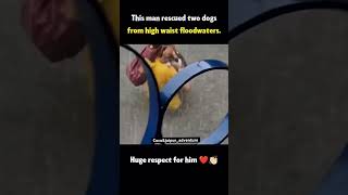 untilifoundyou beagleworld doglover ytviral jaipur petowner pets beagleclub streetdog 💫 [upl. by Talbert]