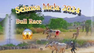 Kashmir mela 2024  Bull 🐂 Race [upl. by Kyred357]